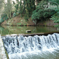 фото из отзыва ID 1334013