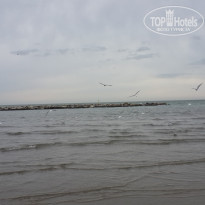 фото из отзыва ID 1334081