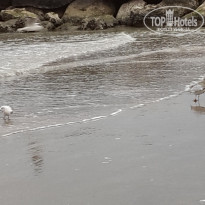 фото из отзыва ID 1334081