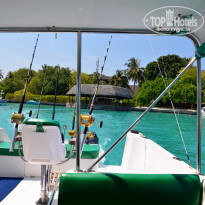 фото из отзыва ID 1334138