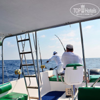 фото из отзыва ID 1334138