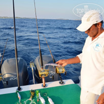 фото из отзыва ID 1334138