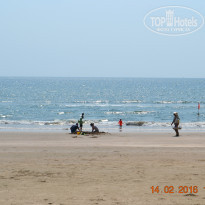 фото из отзыва ID 1334186