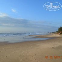 фото из отзыва ID 1334186