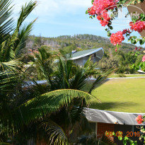 фото из отзыва ID 1334186