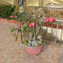 фото из отзыва ID 1334255