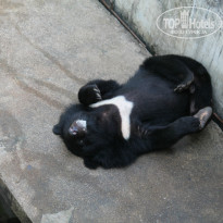 фото из отзыва ID 1334255