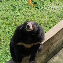 фото из отзыва ID 1334255