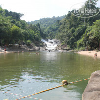 фото из отзыва ID 1334255