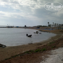 фото из отзыва ID 1334279