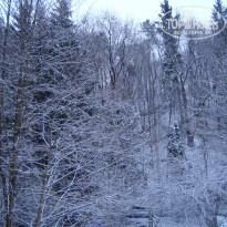 фото из отзыва ID 1334311