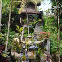 фото из отзыва ID 1334353