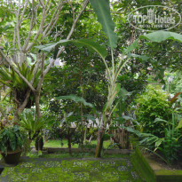 фото из отзыва ID 1334353