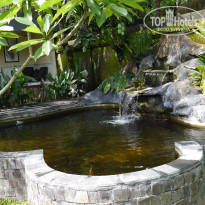 фото из отзыва ID 1334353