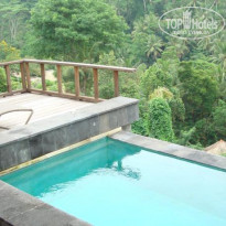 фото из отзыва ID 1334353