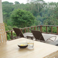 фото из отзыва ID 1334353