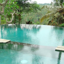 фото из отзыва ID 1334353