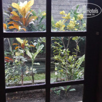 фото из отзыва ID 1334353