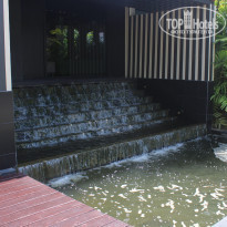 фото из отзыва ID 1334359