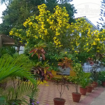 фото из отзыва ID 1334416