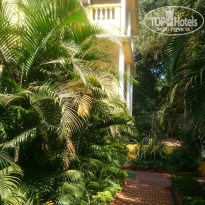 фото из отзыва ID 1334532