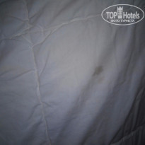 фото из отзыва ID 1334602