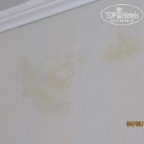 фото из отзыва ID 1334759