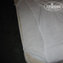 фото из отзыва ID 1334759