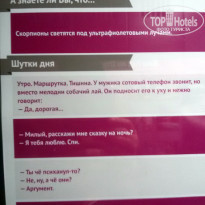 фото из отзыва ID 1334857