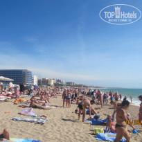 фото из отзыва ID 1334944