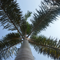 фото из отзыва ID 1334955