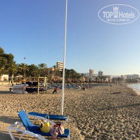 фото из отзыва ID 1334966