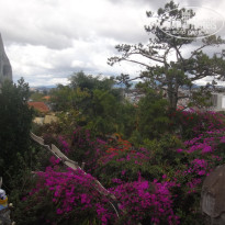 фото из отзыва ID 1335016