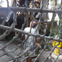 фото из отзыва ID 1335016