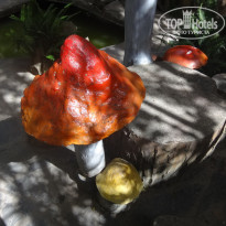 фото из отзыва ID 1335016