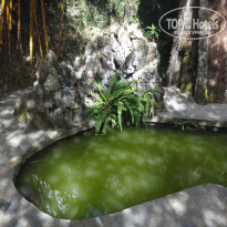 фото из отзыва ID 1335016