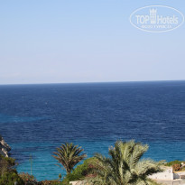 фото из отзыва ID 1335164