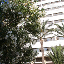 фото из отзыва ID 1335164