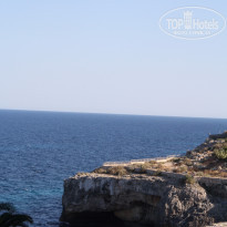 фото из отзыва ID 1335164