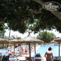 фото из отзыва ID 1335164