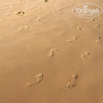 фото из отзыва ID 1335304