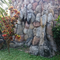 фото из отзыва ID 1335435