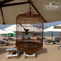 фото из отзыва ID 1335473