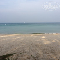 фото из отзыва ID 1335491