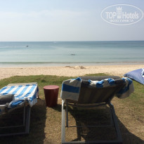 фото из отзыва ID 1335491