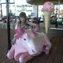 фото из отзыва ID 1335536