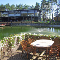 фото из отзыва ID 1335616