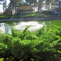 фото из отзыва ID 1335616