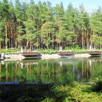 фото из отзыва ID 1335616