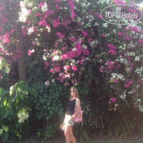 фото из отзыва ID 1335700